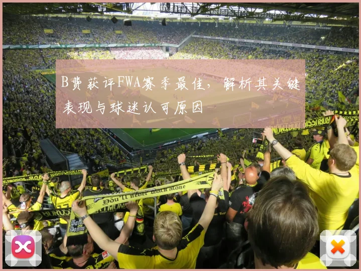 B费获评FWA赛季最佳，解析其关键表现与球迷认可原因
